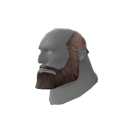 The Unshaved Bear